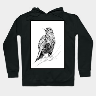 Blackbird Hoodie